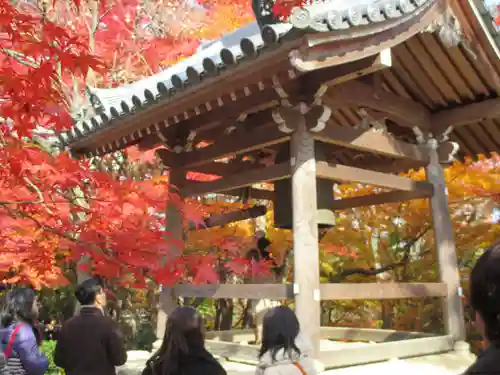 常寂光寺(京都府)