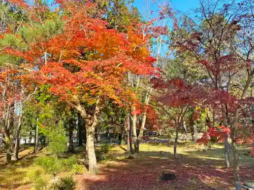 南禅寺(京都府)