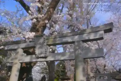 前原御嶽神社の鳥居