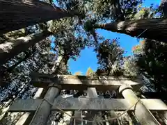 大洲七椙神社(長野県)