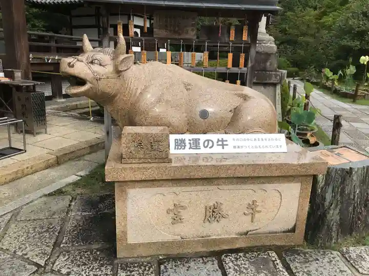 三室戸寺の狛犬