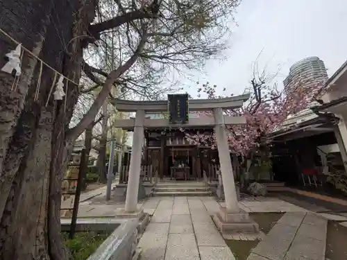飛木稲荷神社の鳥居