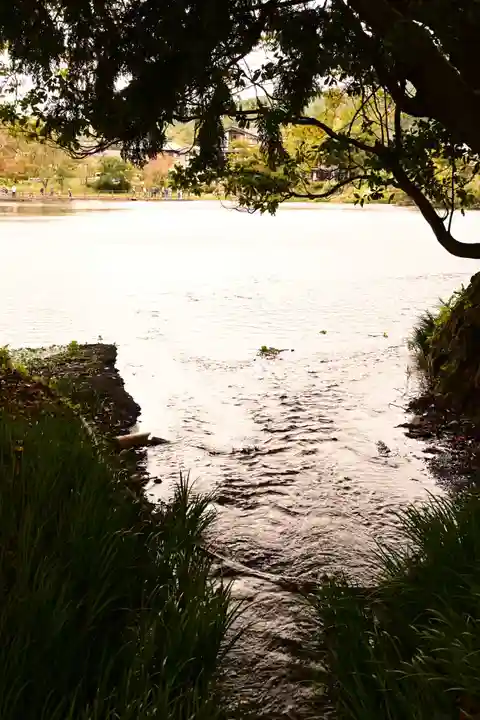 天祖神社(大分県)