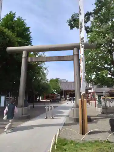 浅草神社の鳥居