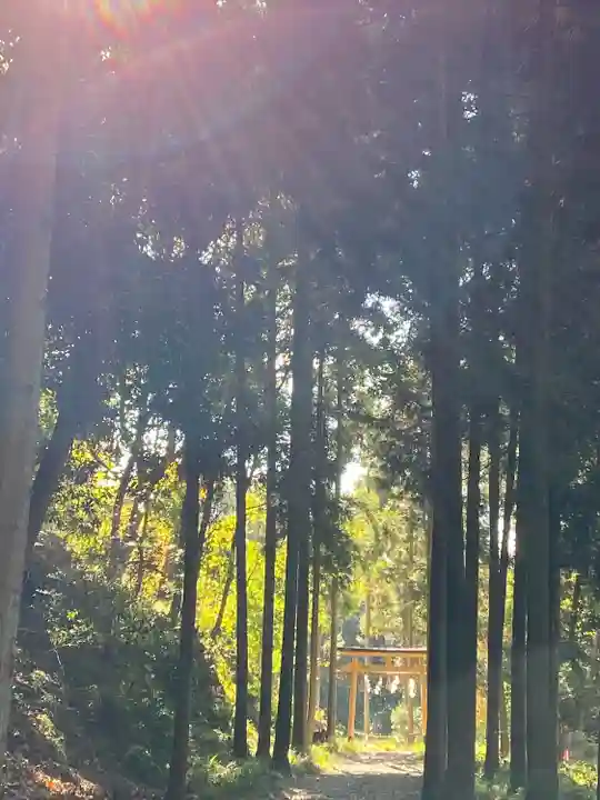 出雲大神宮(京都府)