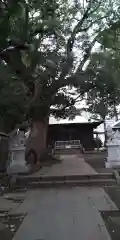 八幡神社(静岡県)