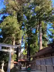 白山比咩神社の自然