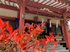 山中浅間神社の本殿