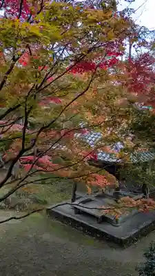勝持寺（花の寺）(京都府)