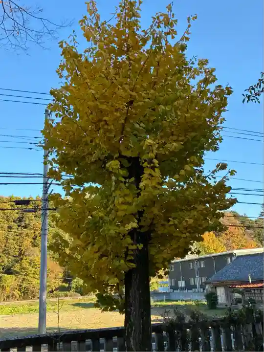 天神社(静岡県)
