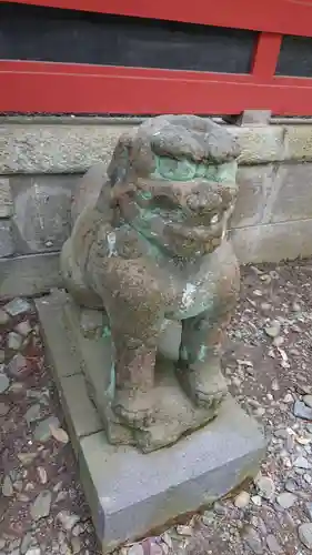 一瓶塚稲荷神社の狛犬