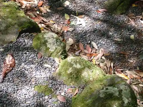 瀧原宮(皇大神宮別宮)(三重県)