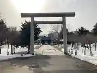 札幌護國神社の鳥居