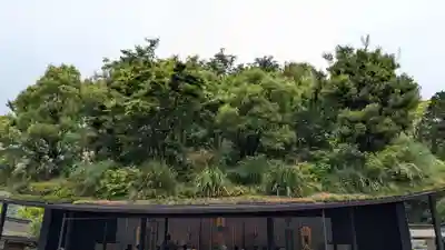 太宰府天満宮の本殿・本堂