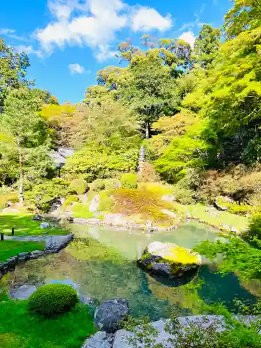 青蓮院門跡の庭園