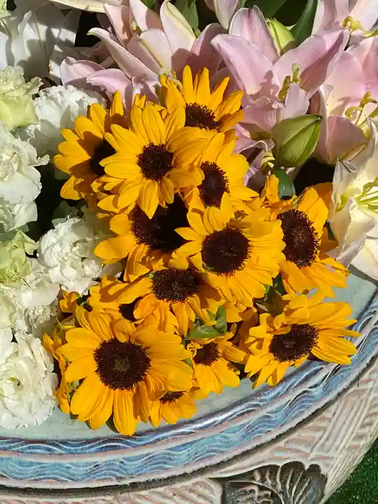 雪ケ谷八幡神社の手水舎