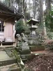 住吉神社の狛犬