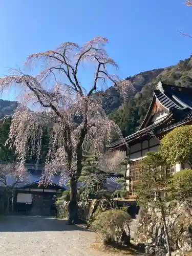 智寂坊(山梨県)