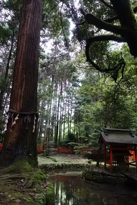 石山寺の自然