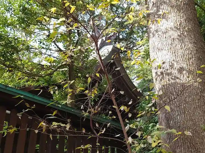 城山熊野神社の本殿・本堂