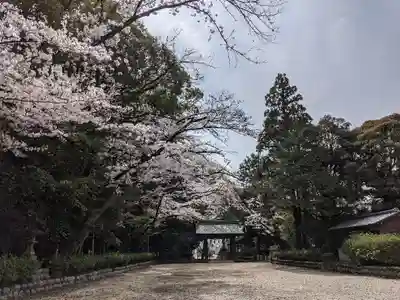 伊多波刀神社(愛知県)