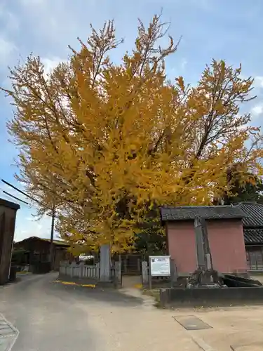 乳保神社(徳島県)