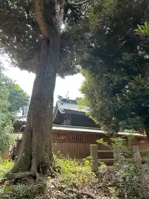 鶴峯八幡宮(茨城県)