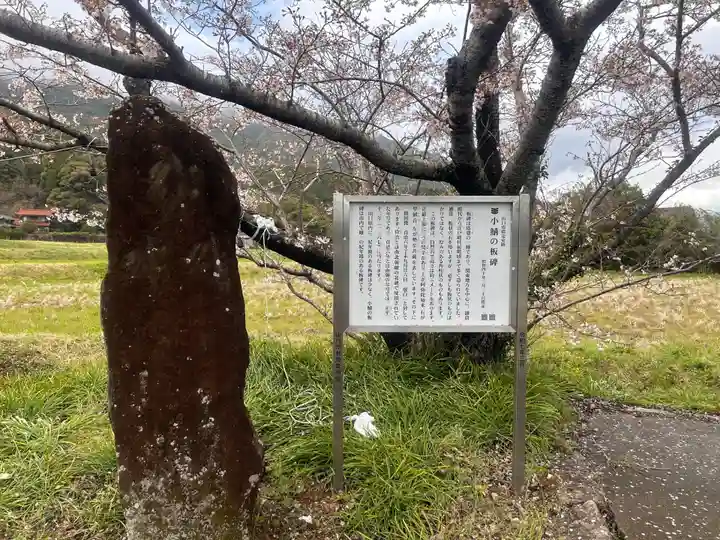 鰐鳴八幡宮(山口県)