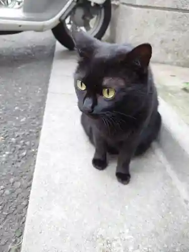 小野照崎神社の動物