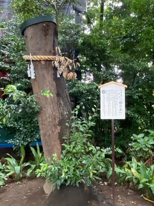 川越八幡宮(埼玉県)