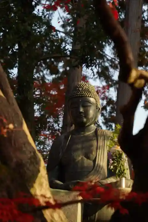 榮攝院(栄摂院)(京都府)