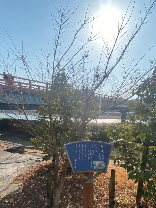 宇治神社の{uncategorized: "未分類", other: "その他", undefined: "問題あり", building: "その他建物", grave: "お墓", sacred_gate: "鳥居", guardian: "狛犬", statue: "像", buddha: "仏像", history: "歴史", nature: "自然", garden: "庭園", animal: "動物", pagoda: "塔", temizu: "手水舎", mountain_gate: "山門・神門", sanctuary: "本殿・本堂", subordinate: "末社・摂社", art: "芸術", scenery: "景色", jizo: "地蔵", ema: "絵馬", goshuin: "御朱印", omikuji: "おみくじ", items: "授与品その他", amulet: "お守り", goshuincho: "御朱印帳", eats: "食事", festival: "お祭り", votive_dance: "神楽", shichigosan: "七五三参", wedding: "結婚式", experience: "体験その他", initially: "初詣", around: "周辺", anti_infection: "感染症対策"}