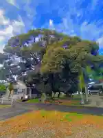 十二柱社(多気中町)の自然