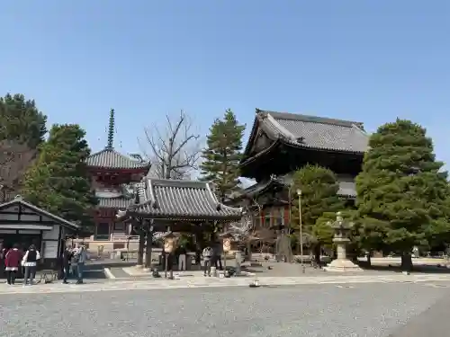 知恩院の{uncategorized: "未分類", other: "その他", undefined: "問題あり", building: "その他建物", grave: "お墓", sacred_gate: "鳥居", guardian: "狛犬", statue: "像", buddha: "仏像", history: "歴史", nature: "自然", garden: "庭園", animal: "動物", pagoda: "塔", temizu: "手水舎", mountain_gate: "山門・神門", sanctuary: "本殿・本堂", subordinate: "末社・摂社", art: "芸術", scenery: "景色", jizo: "地蔵", ema: "絵馬", goshuin: "御朱印", omikuji: "おみくじ", items: "授与品その他", amulet: "お守り", goshuincho: "御朱印帳", eats: "食事", festival: "お祭り", votive_dance: "神楽", shichigosan: "七五三参", wedding: "結婚式", experience: "体験その他", initially: "初詣", around: "周辺", anti_infection: "感染症対策"}