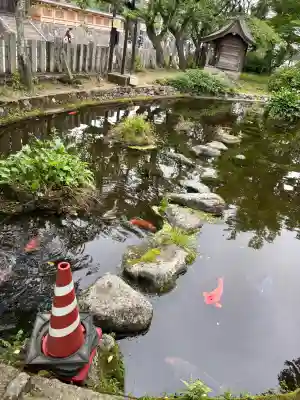 阿蘇神社(熊本県)