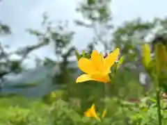 高峯神社(大室神社奥宮)(長野県)