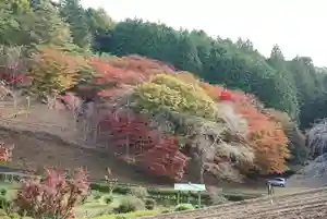 零羊崎神社(宮城県)(2021年11月02日(火) 17時50分02秒投稿)