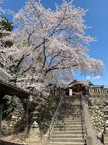 富士浅間神社のその他建物