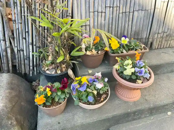 甘酒稲荷神社(東京都)