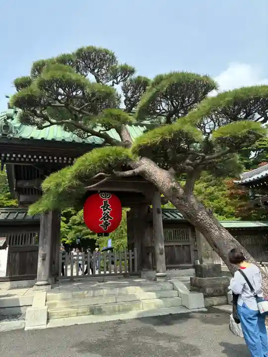 長谷寺(神奈川県)