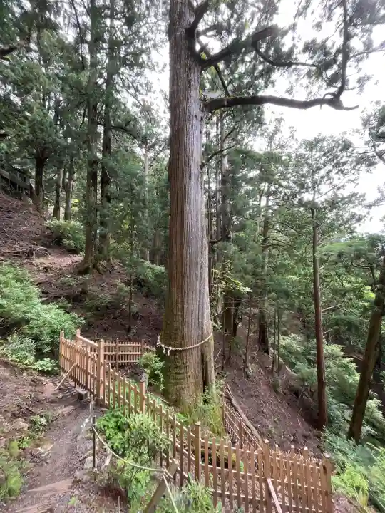 玉置神社(奈良県)