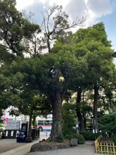 大鳥神社の自然
