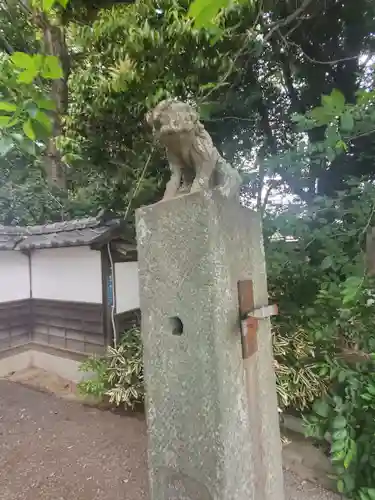 歓喜院本坊の狛犬