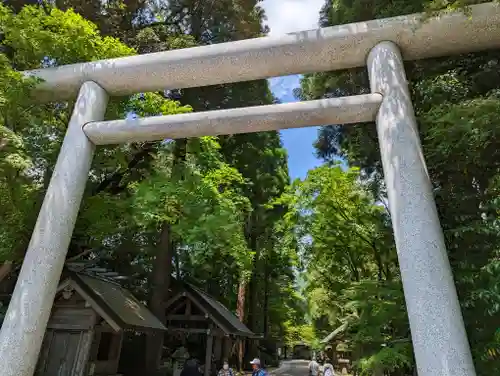 天岩戸神社の鳥居