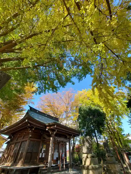 熊野福藏神社の本殿・本堂
