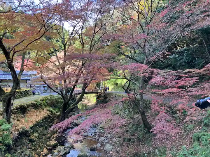 鰐淵寺(島根県)