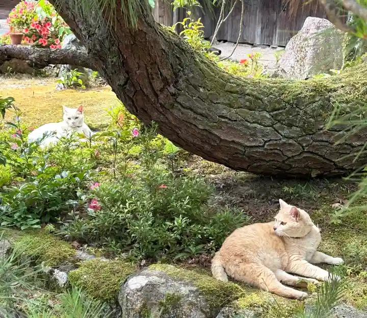 百済寺(滋賀県)