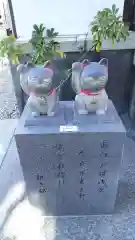 今戸神社の狛犬