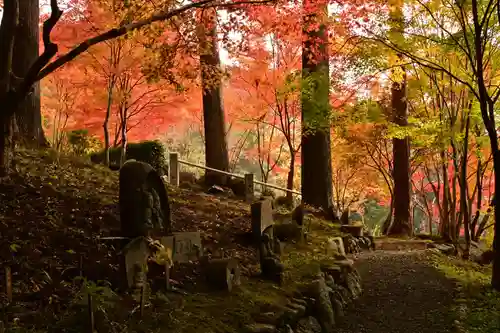 金剛寺(高知県)