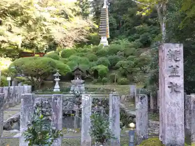岡寺(龍蓋寺)(奈良県)
